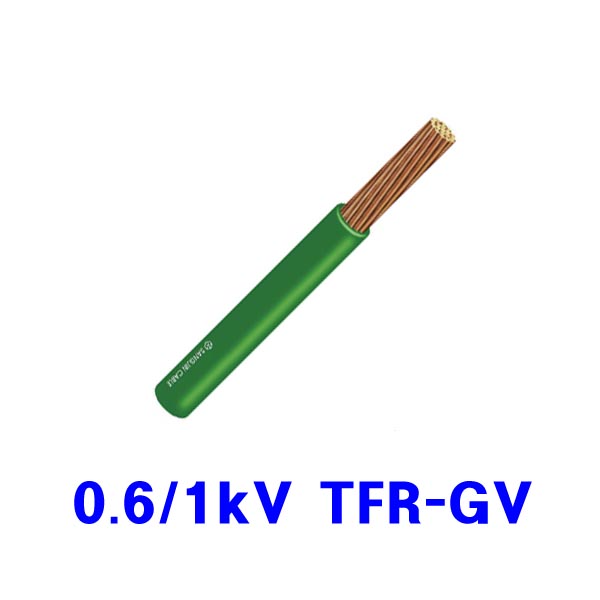  : AC 0.6/1kV  Ʈ Ǵ Ϲ ۹̳   
